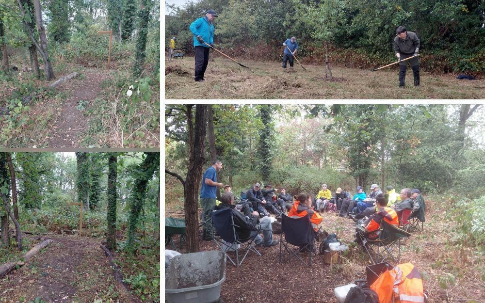 Shinfield volunteers taking part in conservation in the woodland