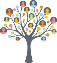 Tree with multi-coloured leaves