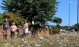 Lancing Pollinator Highway