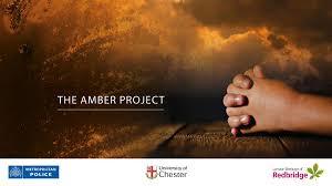 The Amber Project