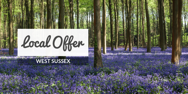 Local Offer banner image of bluebells in a forest