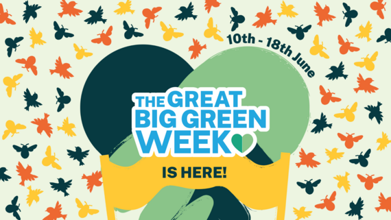 The Great Big Green Week is here! 10 to 18 June 2023. with images of birds and flying insects