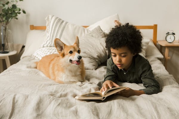 Boy and Corgi reading on bed