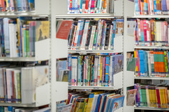 Schools Library Service Books 