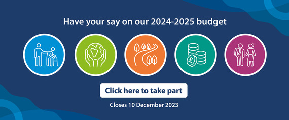 Budget campaign footer image