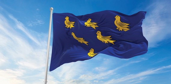Sussex flag