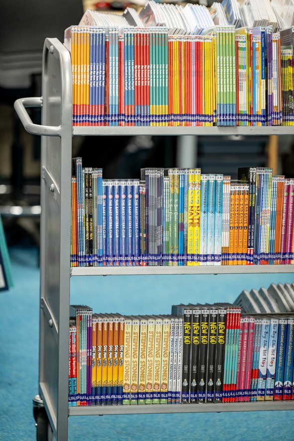 Webinar on managing your school library