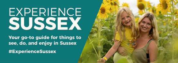 Adult and child in a sunflower field