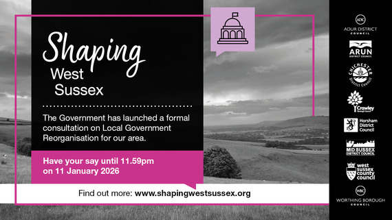 local government reorganisation