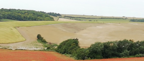 Halewick Lane battery storage project site SE corner