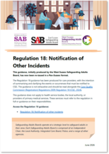 Reg 18 Flyer