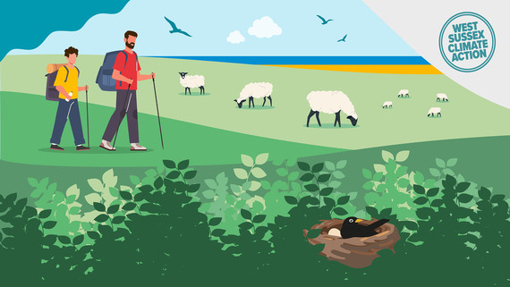Nature image for climate change consultation