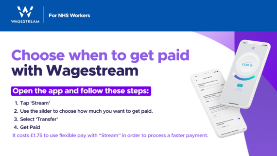 Wagestream graphic