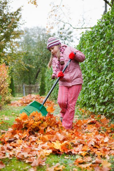 Girl clearing autumn leaves 