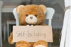 Teddy bear self isolating isolate 