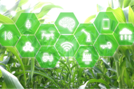 Field with super imposed green technology icons on it