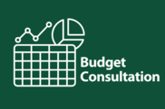 Budget consultation graphic