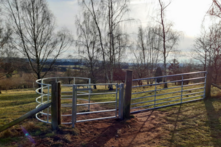 Kissing gate in a field with trees behind