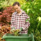 A man puts garden clippings into a large green bin