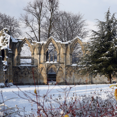museum gardens in the snow
