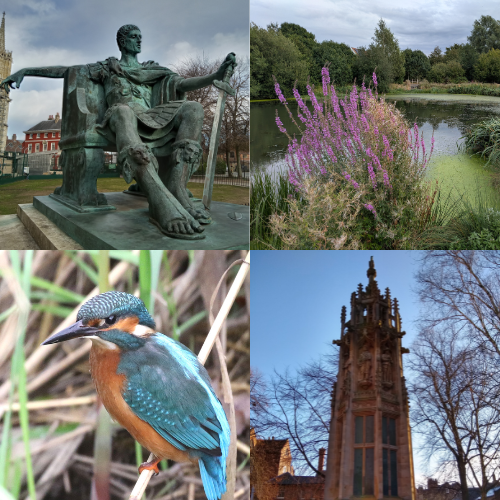 Images of places and animals in York