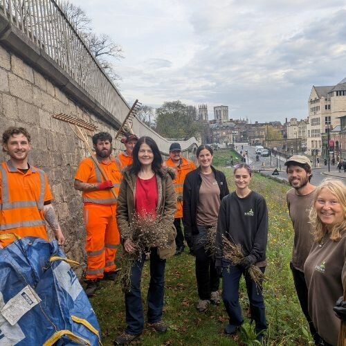 York Walls with people