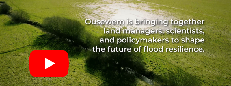 Screenshot of Ousewem's most recent video with red arrow indicating a YouTube video