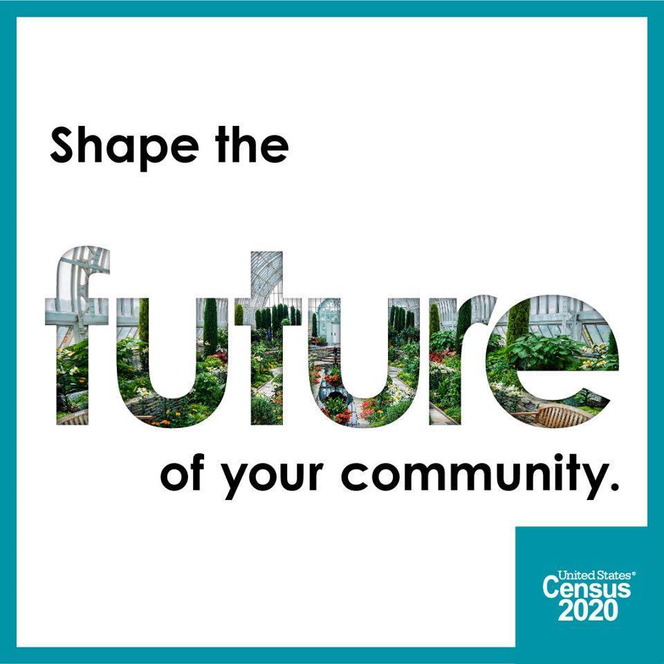 Census graphic - "Shape the future of your community"