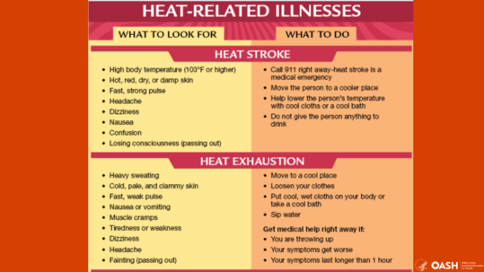 Signs of heat illness