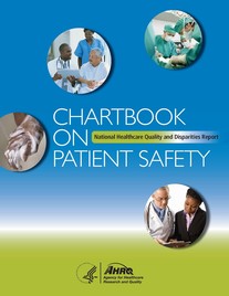 safety chartbook