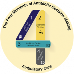Image of Four Moments of Antibiotic Decision Making diagram