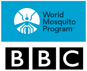 The City Where Children are Learning to Love Mosquitoes The City Where Children are Learning to Love Mosquitoes