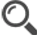 magnify icon