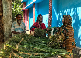 bangladesh nutrition 