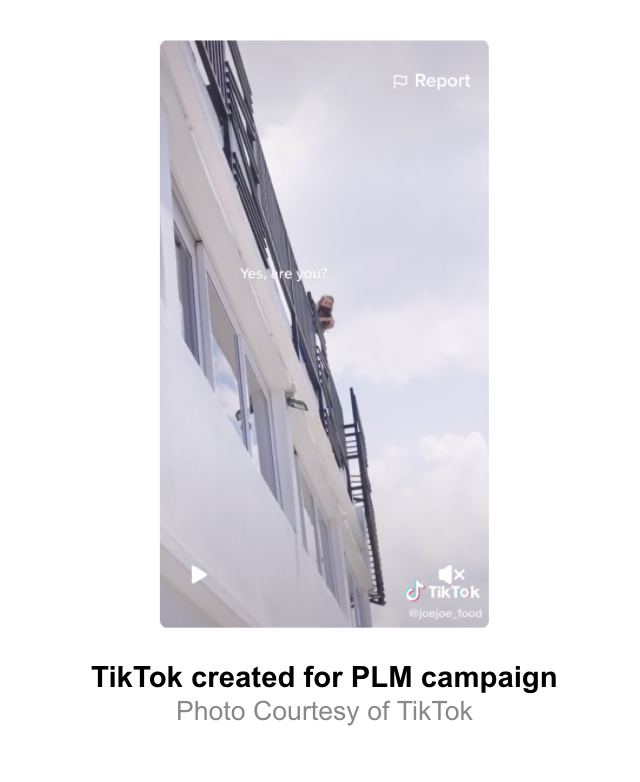 TikTok Part 2