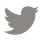 Twitter Icon