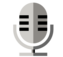 Gray microphone icon