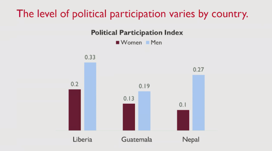 Political Participation graphic