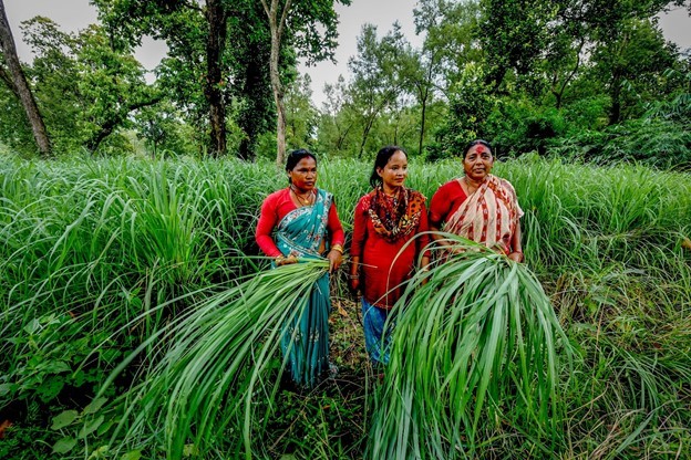 Nepal’s USAID-supported Hariyo Ban program 