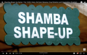 Shamba Shapeup Opener