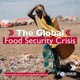 Food Security Crisis Graphic