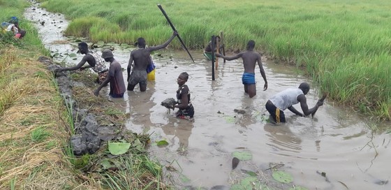 Youth in Ganyliel, Panyijiar County, were paid to extend the Ganyliel dike to protect Ganyliel's market and airstrip.