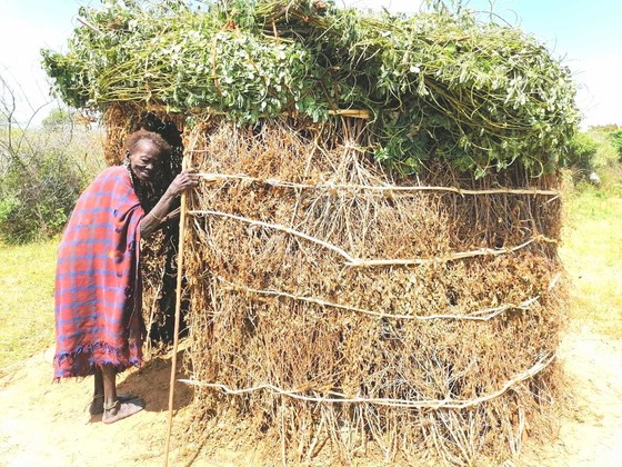 An elderly woman enters a pit latrine constructed in Nachelepole village, Kapoeta North County