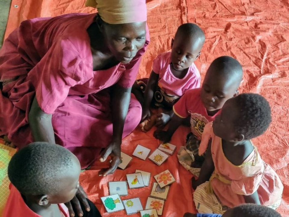 DIV Grantee Lively Minds