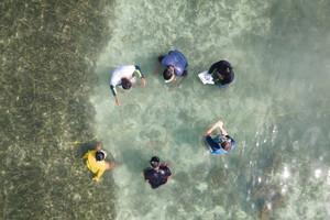 Overhead shot of Mark, a Fishery Coordinator, leading a participatory coastal resource assessment utilizing skills and tools supported by SPA