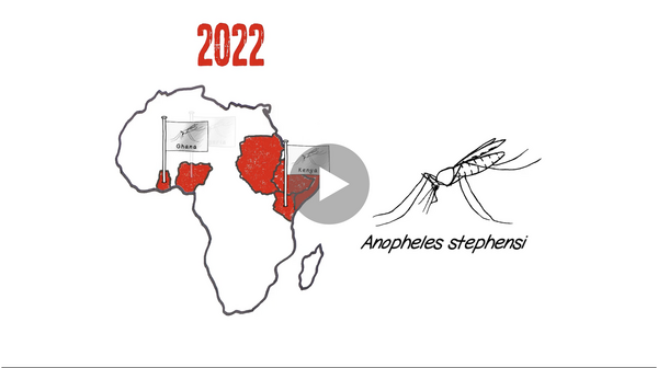 Video still with map of Africa and the new mosquito