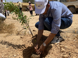 Youth Day participant plants a tree in Bani Walid.