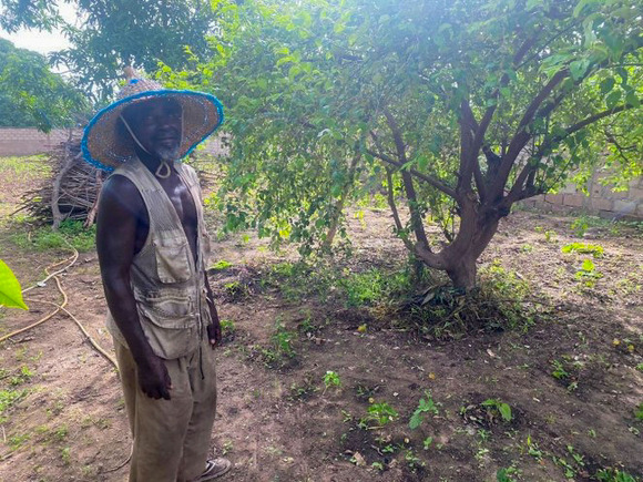 Ousmane Willane stands in his farm in Senegal before planting the dual-purpose millet and cowpea crops. 