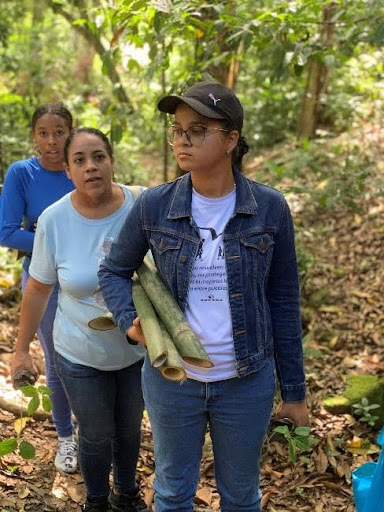 volunteers take part in reforestation effort 