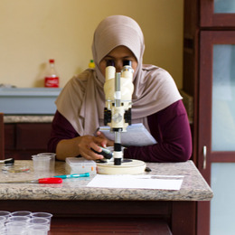 A woman in a tan hijab and burgundy sweater looks into a microscope at her desk